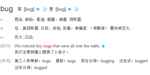 bug是什么意思网络用语