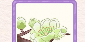 花店物语绿萼梅怎么获得 绿萼梅获取方法一览